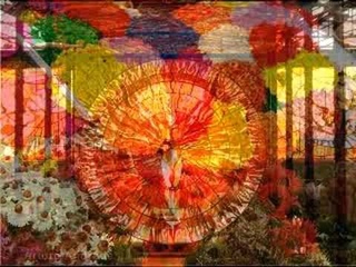 El colibrí