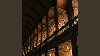 The Hidden Library