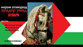 Yarador umid otlari. Ikrom Otamurod dostoni asosida radioteatr
