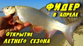 РЫБАЛКА НА ФИДЕР в Апреле. Открыли сезон. Налим и Язь АТАКУЮТ!