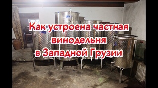 Как устроены частные винодельни в Западнои Грузии