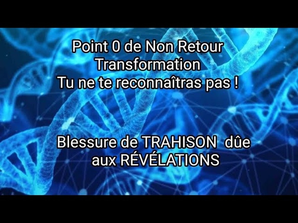 Grosse Purge les 6 prochains mois Défis pour ton