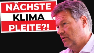 SUBVENTIONS-SCHOCKER: Nchstes Habeck Unternehmen wackelt (Northvolt) | Steuerberater Roland Elias
