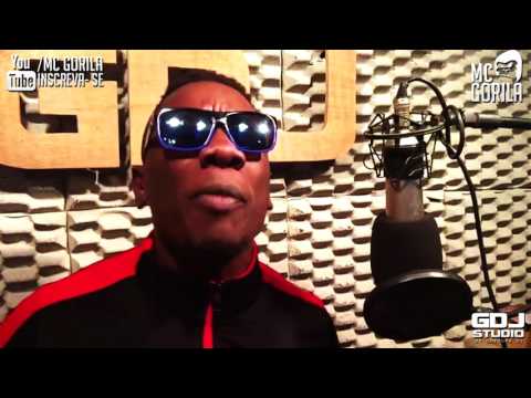 MC GORILA HEY BROTHER NOVINHO SENSACIONAL ( GDJ STUDIO