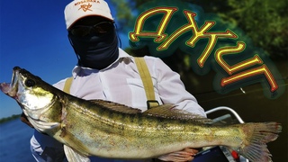 СУДАК на ДЖИГ в КОРЯГАХ! ОТЛИЧНЫЙ КЛЕВ!