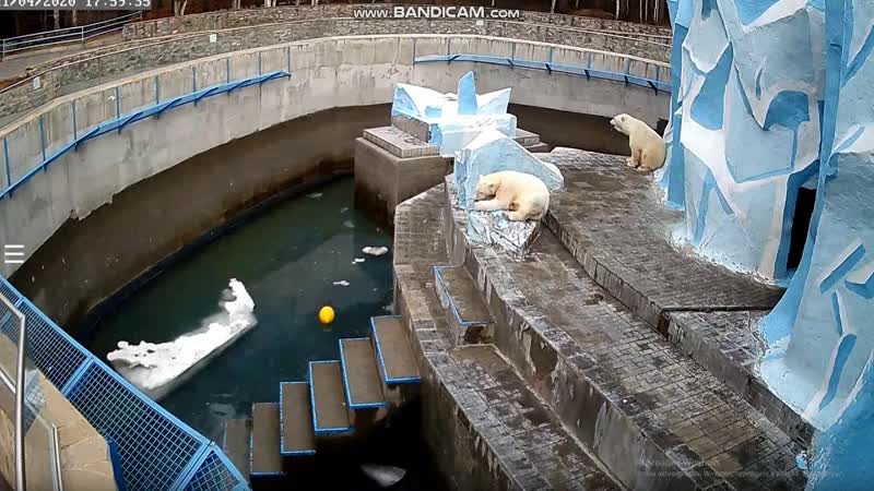 Поспали и можно лапки полизать после
