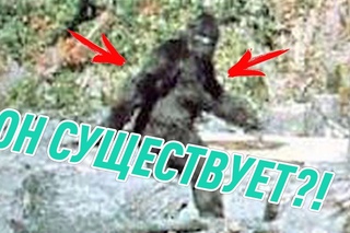 СНЕЖНЫЙ ЧЕЛОВЕК - существует?!