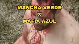 Torcida do Cruzeiro agride presidente da Mancha Verde Palmeiras  x Mafia Azul Briga de Torcidas
