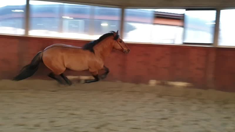 Catch me if you