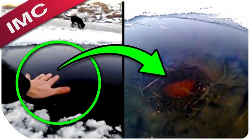 The Most Mysterious Glitch Videos You Will Ever