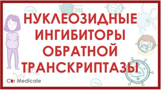 Антиретровирусные - нуклеозидные ингибиторы обратной транскриптазы - механизм действия