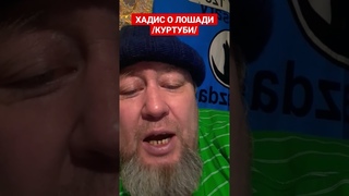 ХАДИС О ЛОШАДИ /Куртуби/