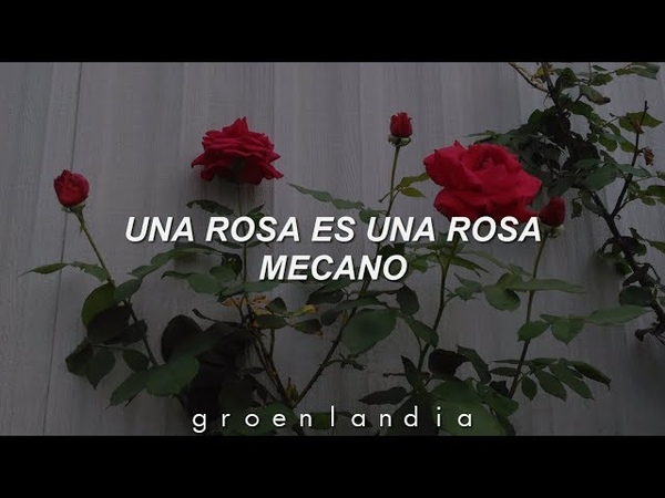 Mecano; Una Rosa Es Una Rosa