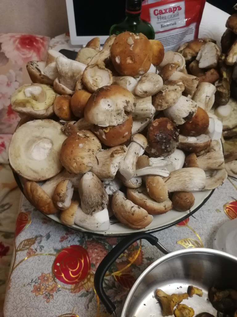 Алексей Василевский | Иваново