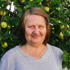 Лариса Константинова, Валмиера