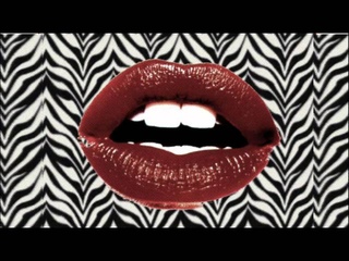 Chicken Lips House Mix # 45 - Disco Funk Oldschool Underground Party Style