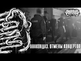 POGREBIER VLOG: Отмена концертов Anacondaz. Где Женя?