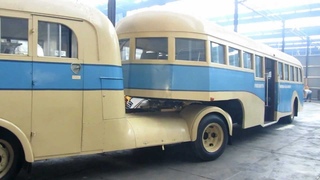 Moving the cow (1) - Sydney’s semi-trailer bus