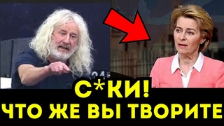 ИРЛАНДСКИЙ ЛЕВ ДЕПУТАТ МИК УОЛЛЕС РАЗНОСИТ ЕВРОШАВОК В ПАРЛАМЕНТЕ! БРАВО!