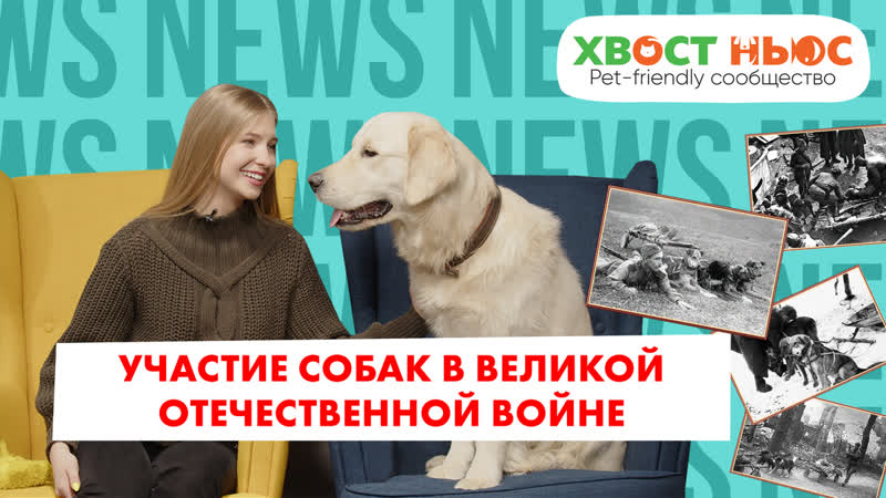 История Парада Победы с участием собак. Новости недели