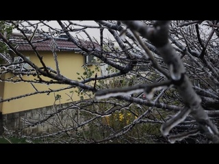 ЖЕСТЬ В НОВОРОССИЙСКЕ. ОБЛЕДЕНЕНИЕ ГОРОДА И МАССОВЫЕ ДТП. А В ГЕЛЕНДЖИКЕ ЖАРА. ПОГОДА