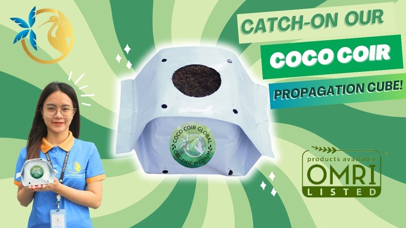 Boost Your Crop With Coco Coir Propagation Cube: A Must Have For Plants At Initial