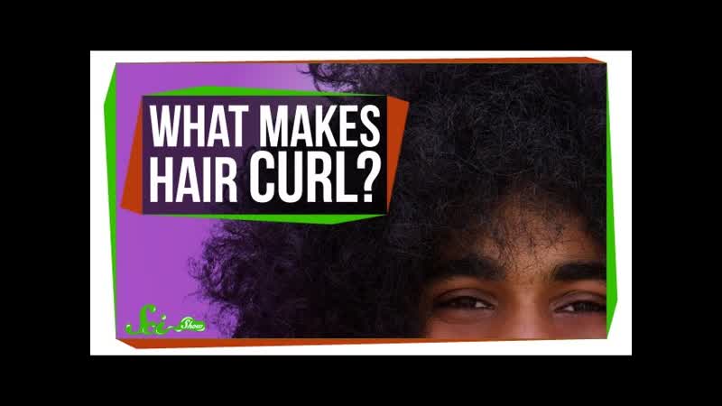 What Makes Your Hair