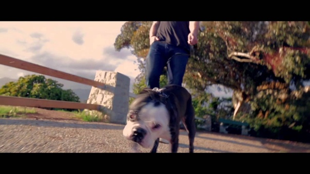 PUBLIC THANK U ( OFFICIAL UNCENSORED MUSIC VIDEO)