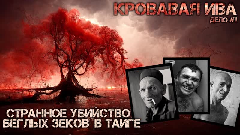 КАПИТАН ВОЛХОВ. ТРИЛЛЕР. УЖАСЫ. Глава 1. Страшные