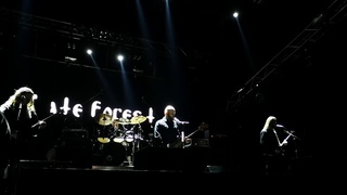 Hate Forest - Cold of the Grave live @ Metal East: Нове Коло, Харків,