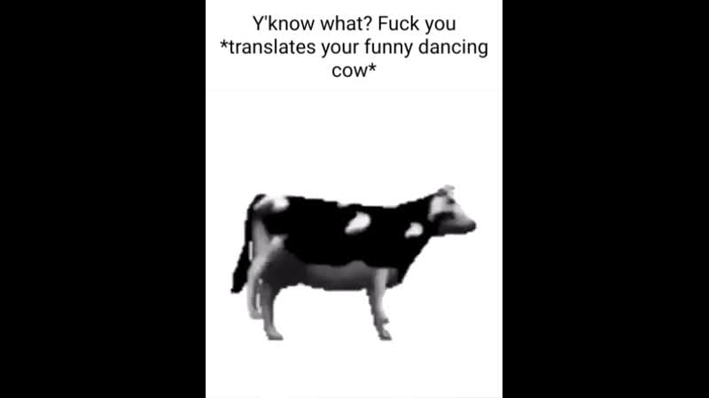 Translated polish