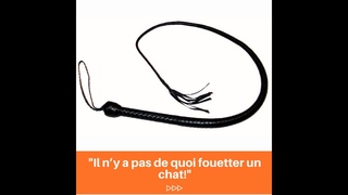 #24 Il ny a pas de quoi fouetter un chat! -  - expressions franaises