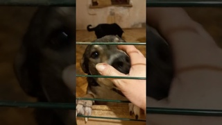 НАС ЗАЛИВАЕТ!!! Протекла крыша еще в двух местах во втором здании.