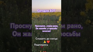 сегодня Бог проснулся утром рано #shortvideo