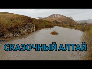 Сказочный Алтай, стоит только немного отъехать в сторону от праторенных маршрутов, попадешь в сказку