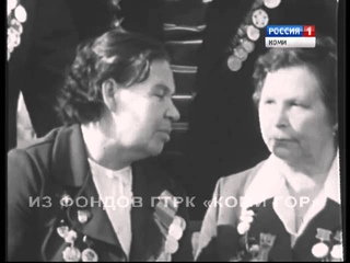 28-ая Краснознамённая Невельская стрелковая дивизия