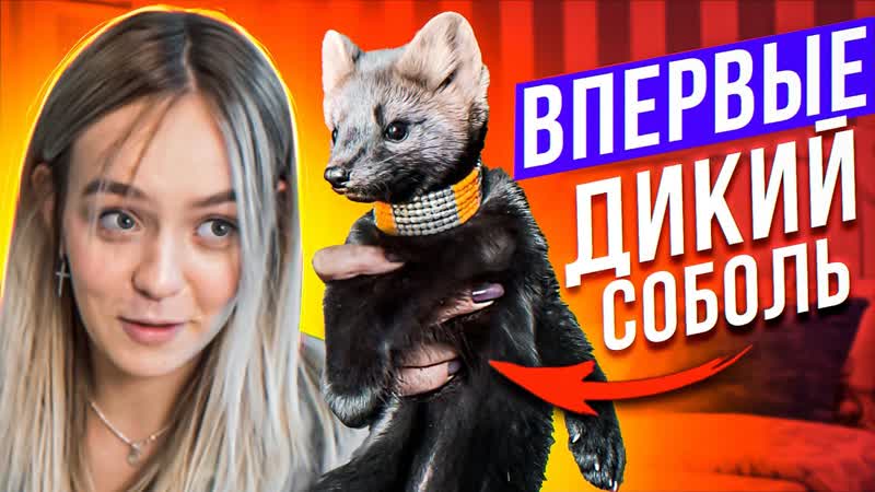 ВПЕРВЫЕ МЕНЯ УКУСИЛ ДИКИЙ