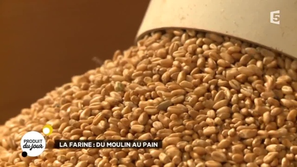 La farine : du moulin au