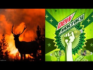 This How They DEW It!