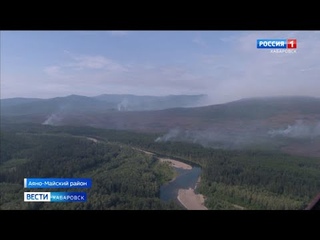 11 лесных пожаров ликвидировали в Хабаровском крае