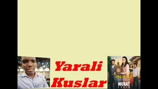 Yarali kuslar (letra)- Murat Evgin cover Hainer Arroyo