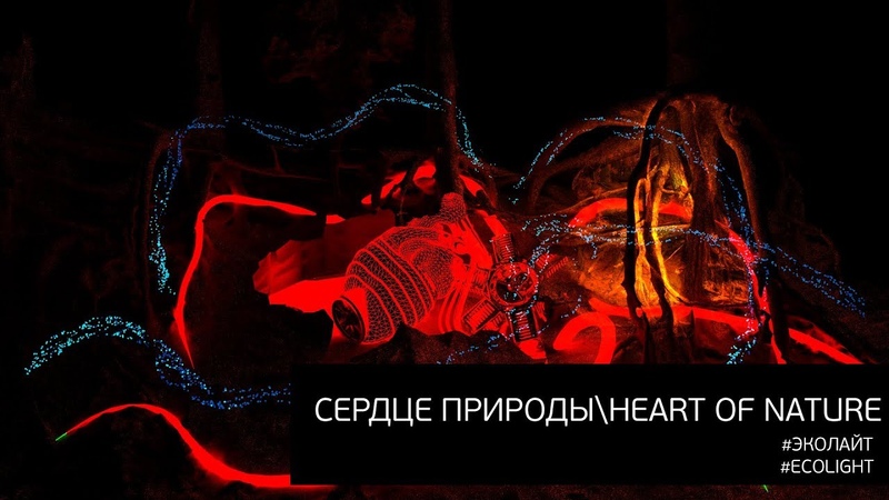 Сердце природы Heart og nature Ecolight Эколайт Projection