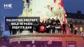 Thousands turn up to banned rally in Paris held in support of Palestine