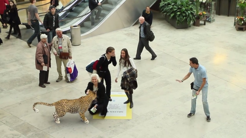 National Geographic Augmented Reality experience by