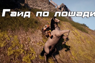 Black Desert - Как приручить лошадь