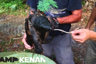 Dangerous Snapping Turtles! Kamp Kenan S2 Episode 12