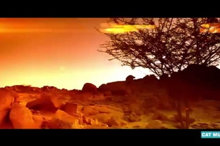 Dina Gabri - Naughty Boy (Official Video)