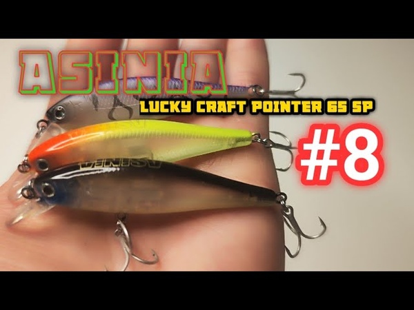 Новинка от ASINIA Копия на LUCKY CRAFT POINTER 65
