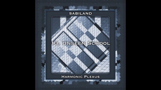 Sabiland (Harmonic Plexus) - 13. Unseen School (Stunning Visuals 4K)