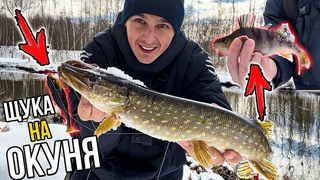 ЩУКА на ОКУНЯ из СИЛИКОНА | Удачная РЫБАЛКА на МАЛОЙ РЕКЕ в НАЧАЛЕ МАРТА | СВИМБЕЙТ И МИКРОДЖИГ